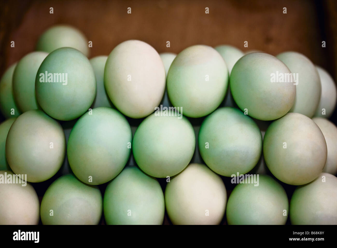 Close-up di uova di anatra, Tai'an, Provincia di Shandong, Cina Foto Stock