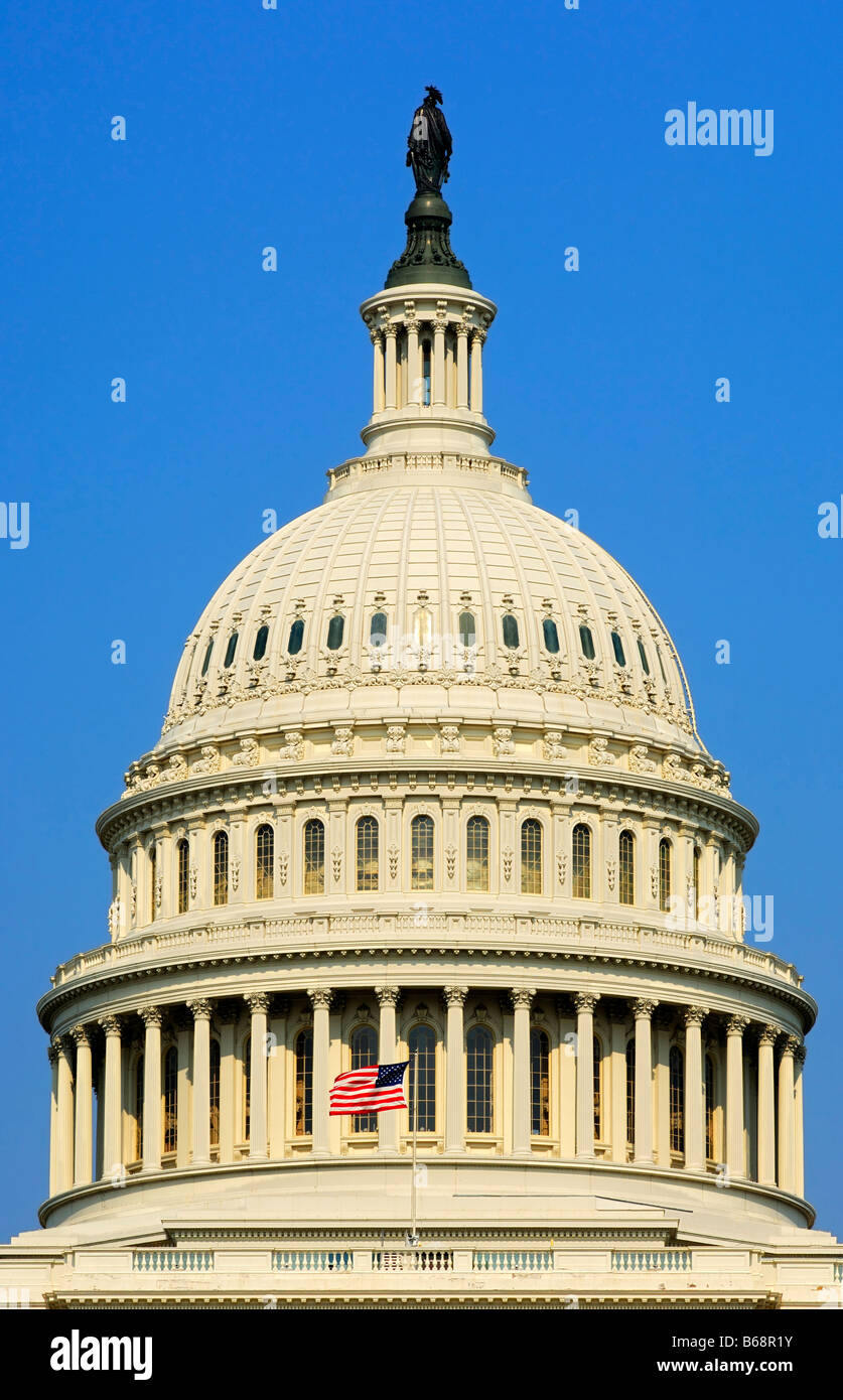 Cupola Centrale del Campidoglio degli Stati Uniti di Washington, DC, Stati Uniti d'America Foto Stock