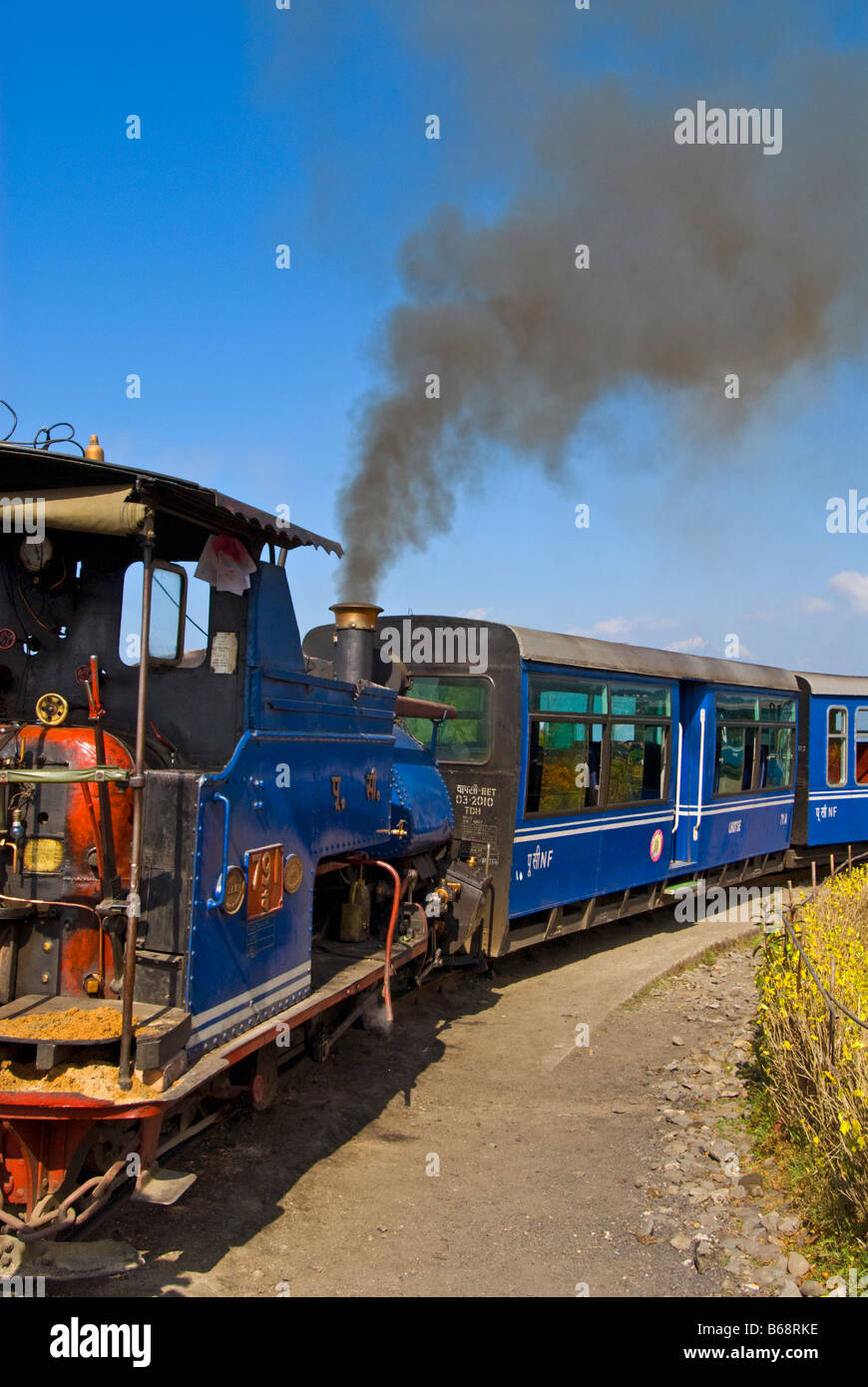 "Toy Train' del Darjeeling Himalayan Railway Foto Stock