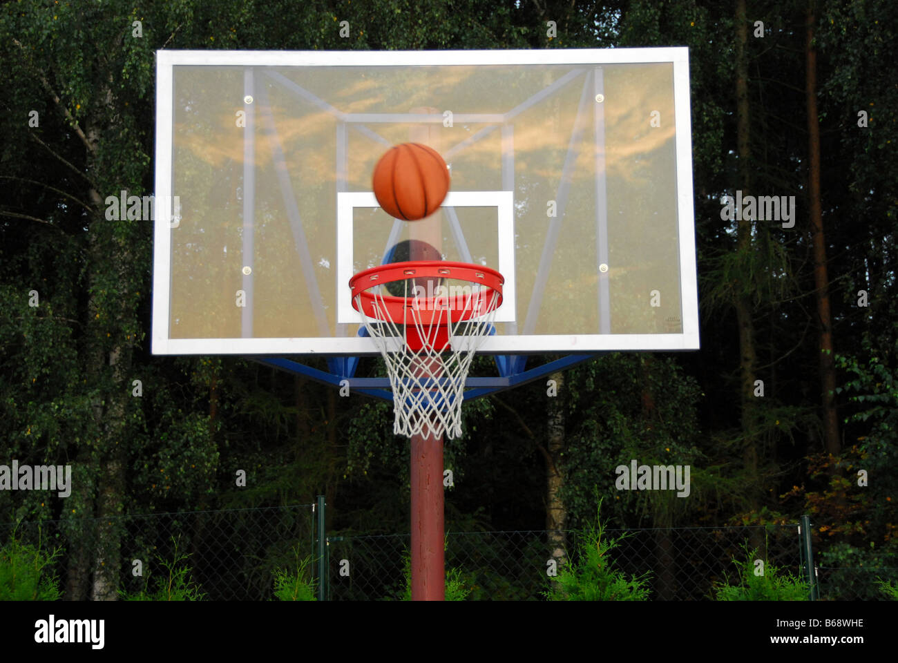 Tabella di basket sullo sfondo della foresta Foto Stock