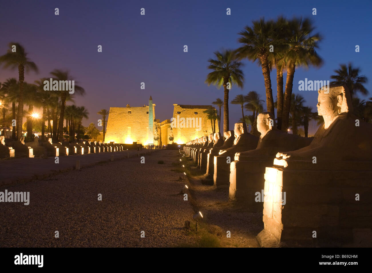 Tempio di Luxor a nght e vicolo di Shinxes Foto Stock