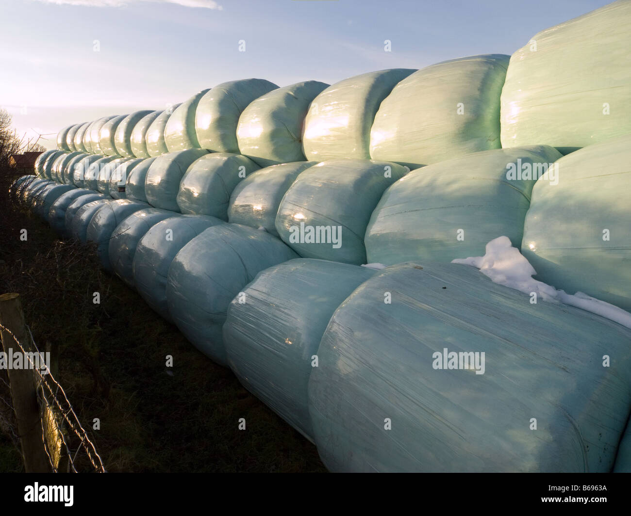 Avvolte in plastica o fieno balle di paglia in una moderna azienda agricola Foto Stock