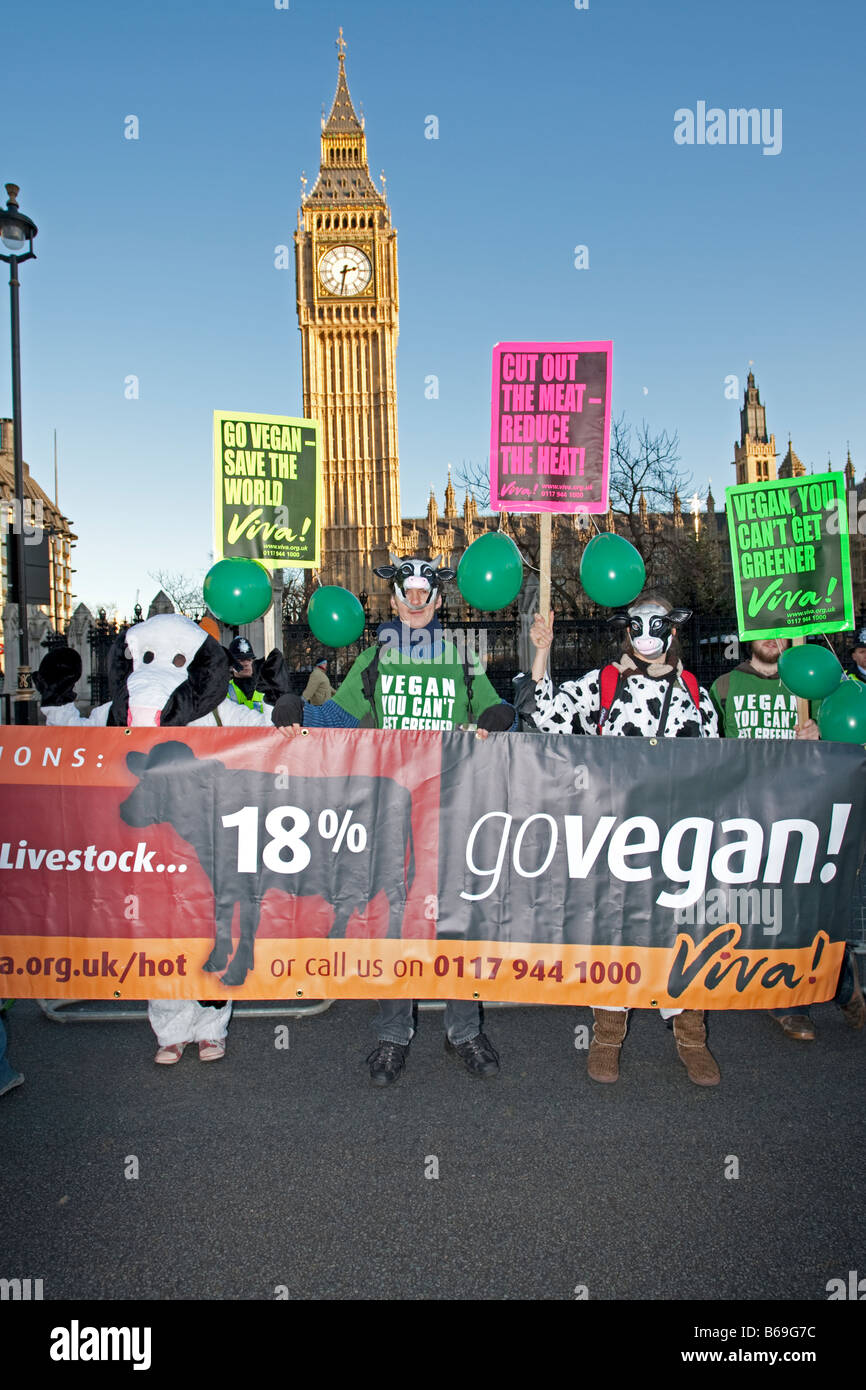 Gli attivisti vegana al di fuori del Parlamento sul cambiamento climatico marzo Londra Dicembre 2008 REGNO UNITO Foto Stock