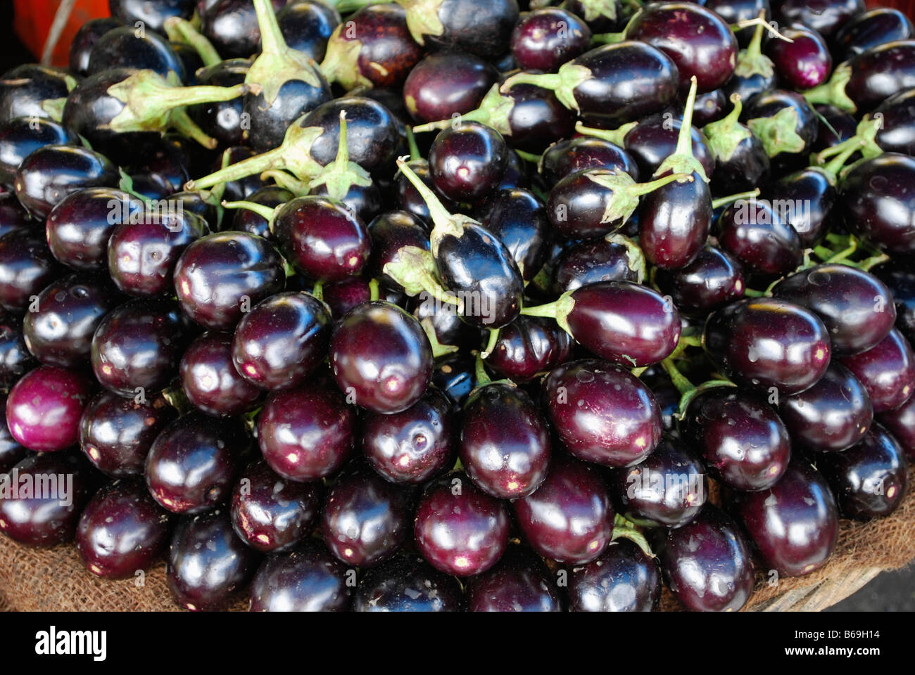 Brinjal decorata splendidamente in un nuovo mercato, Bhopal, Madhya Pradesh, India. Foto Stock