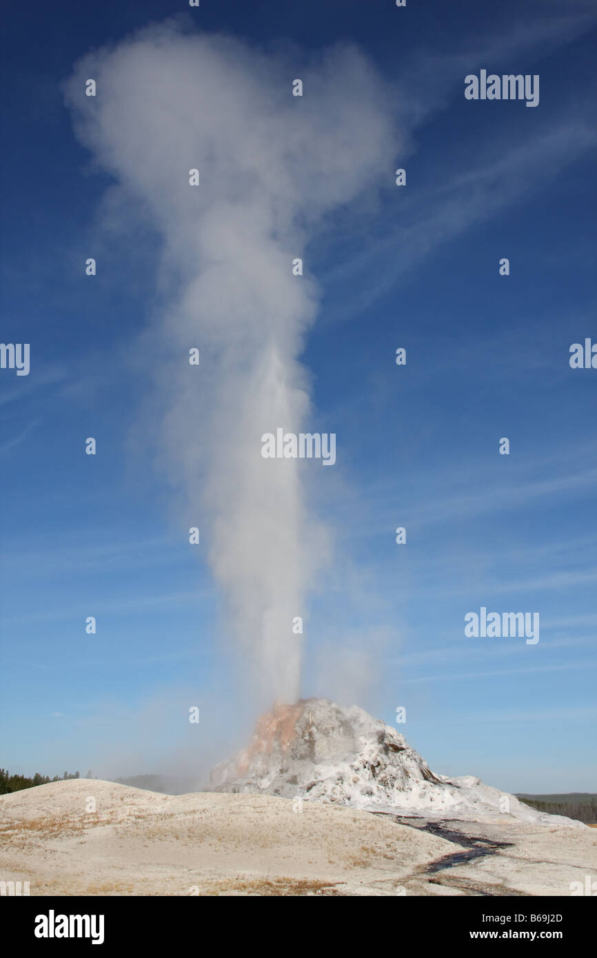 Cupola Bianca geyser che erutta, il Parco Nazionale di Yellowstone Foto Stock