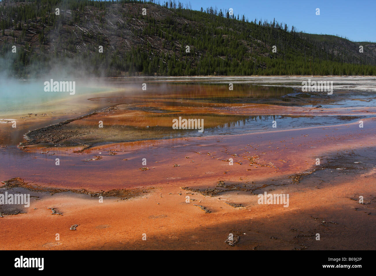 Grand Prismatic Spring, Midway Geyser Basin, il Parco Nazionale di Yellowstone Foto Stock