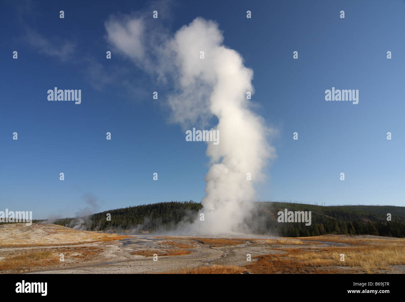 Geyser che erutta, Geyser Hill, vecchie fedeli, il Parco Nazionale di Yellowstone, Wyoming Foto Stock