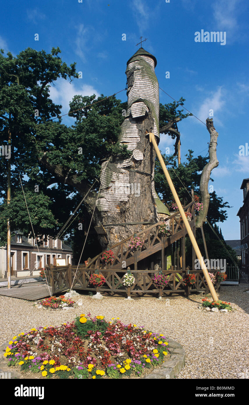 Cavo di quercia sacra di AllouvilleBellfosse incl Nostra Signora della Pace Cappella, Normandia