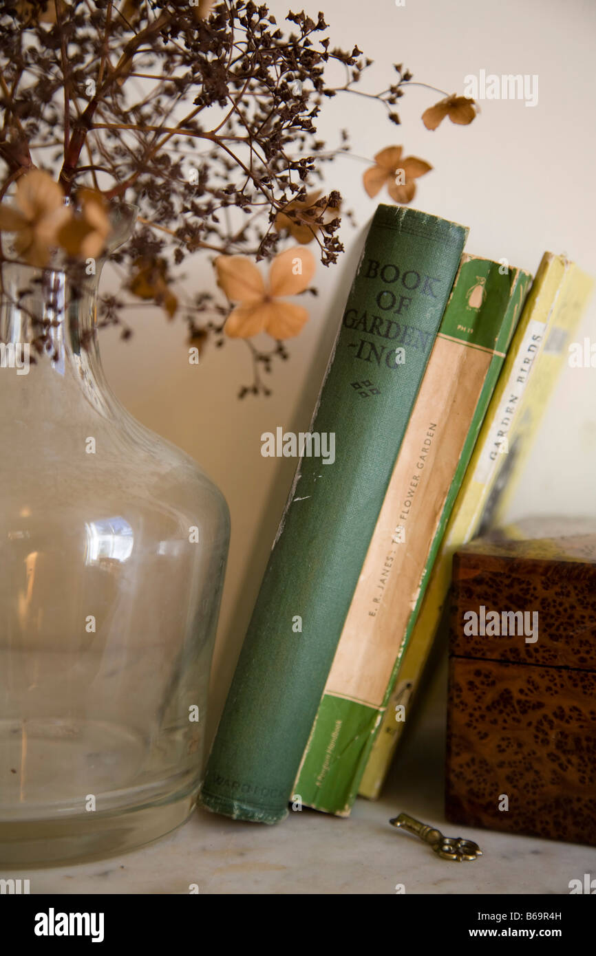 Vintage libri di giardinaggio, Vittoriano vaso di vetro ed essiccato lacecap ortensie Foto Stock