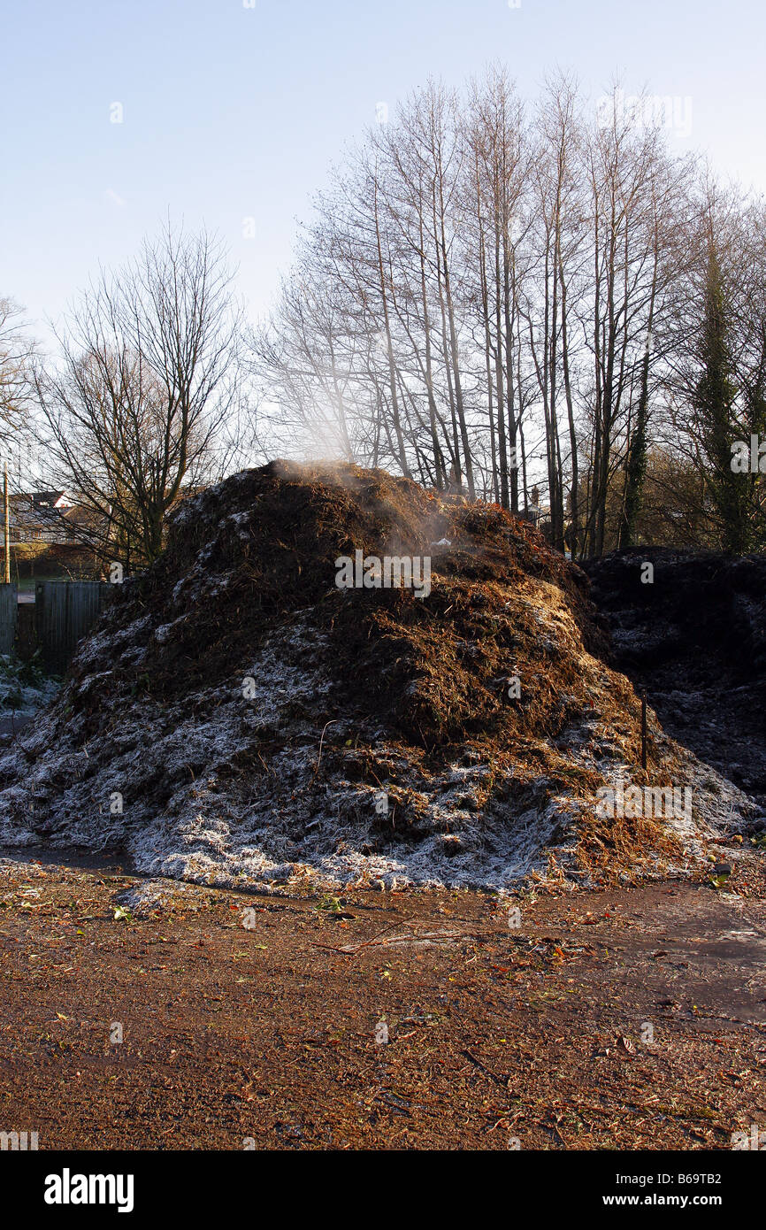 Uffculme Compost Magic su base comunitaria green riciclaggio rifiuti Devon una andana del materiale di compostaggio Foto Stock