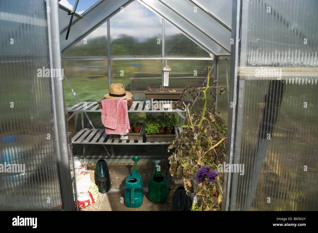 Serra, interno, all'interno, vuoto, deserte, chiaro, vetro satinato e vetro, finestra, windows, riquadro, hat, cappelli, maglietta, irrigazione Foto Stock