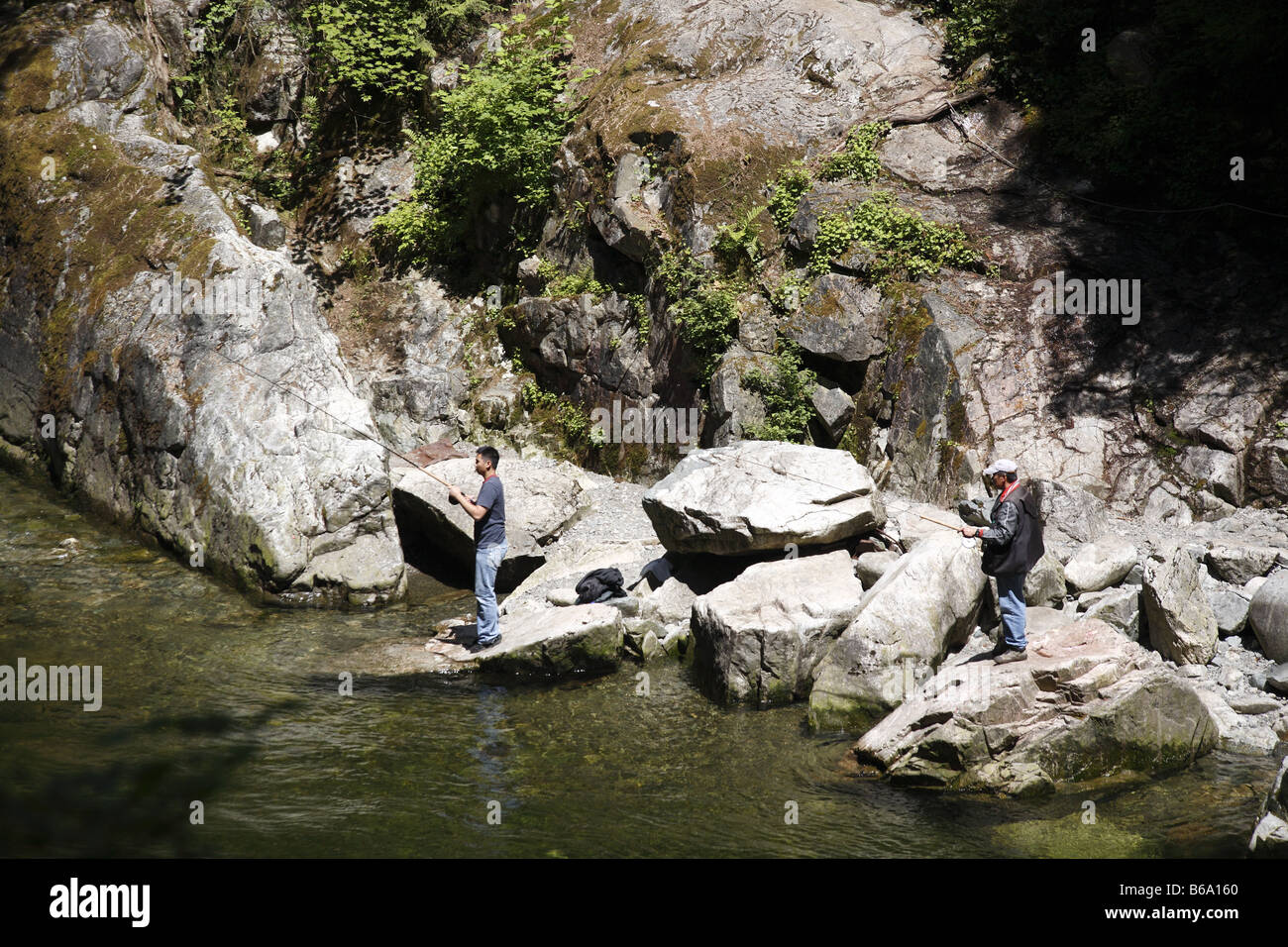 Canada BC Kanada Britisch British Columbia Vancouver Capilano vicino fiume Nahe ponte di sospensione e und il Capilano Salmon Hatchery Foto Stock