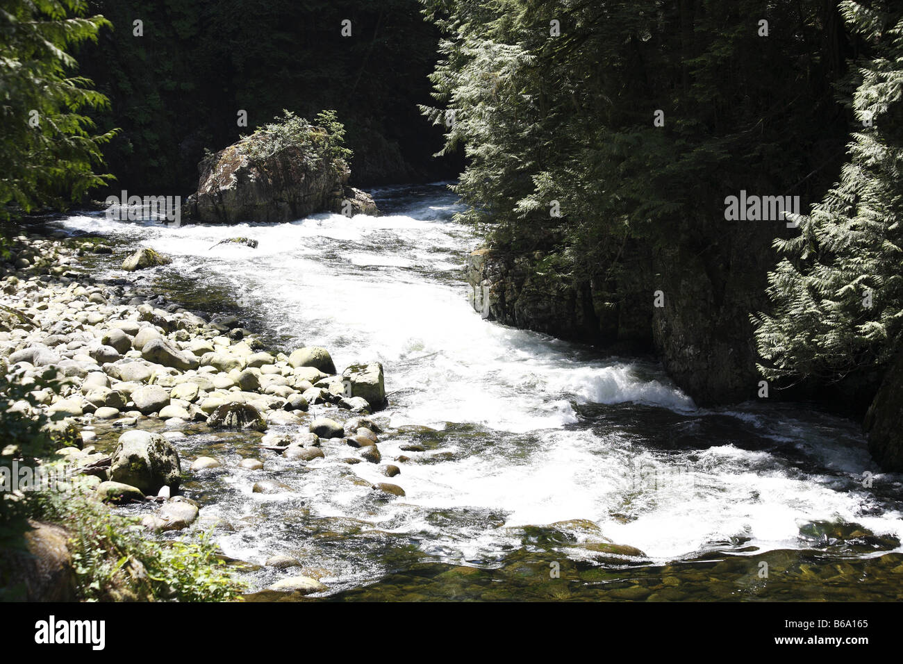 Canada BC Kanada Britisch British Columbia Vancouver Capilano vicino fiume Nahe ponte di sospensione e und il Capilano Salmon Hatchery Foto Stock