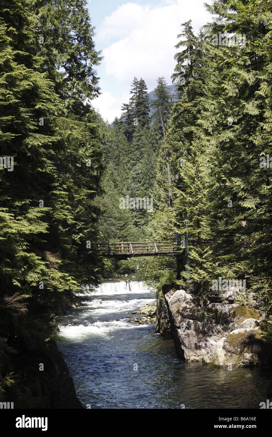 Canada BC Kanada Britisch British Columbia Vancouver Capilano vicino fiume Nahe ponte di sospensione e und il Capilano Salmon Hatchery Foto Stock