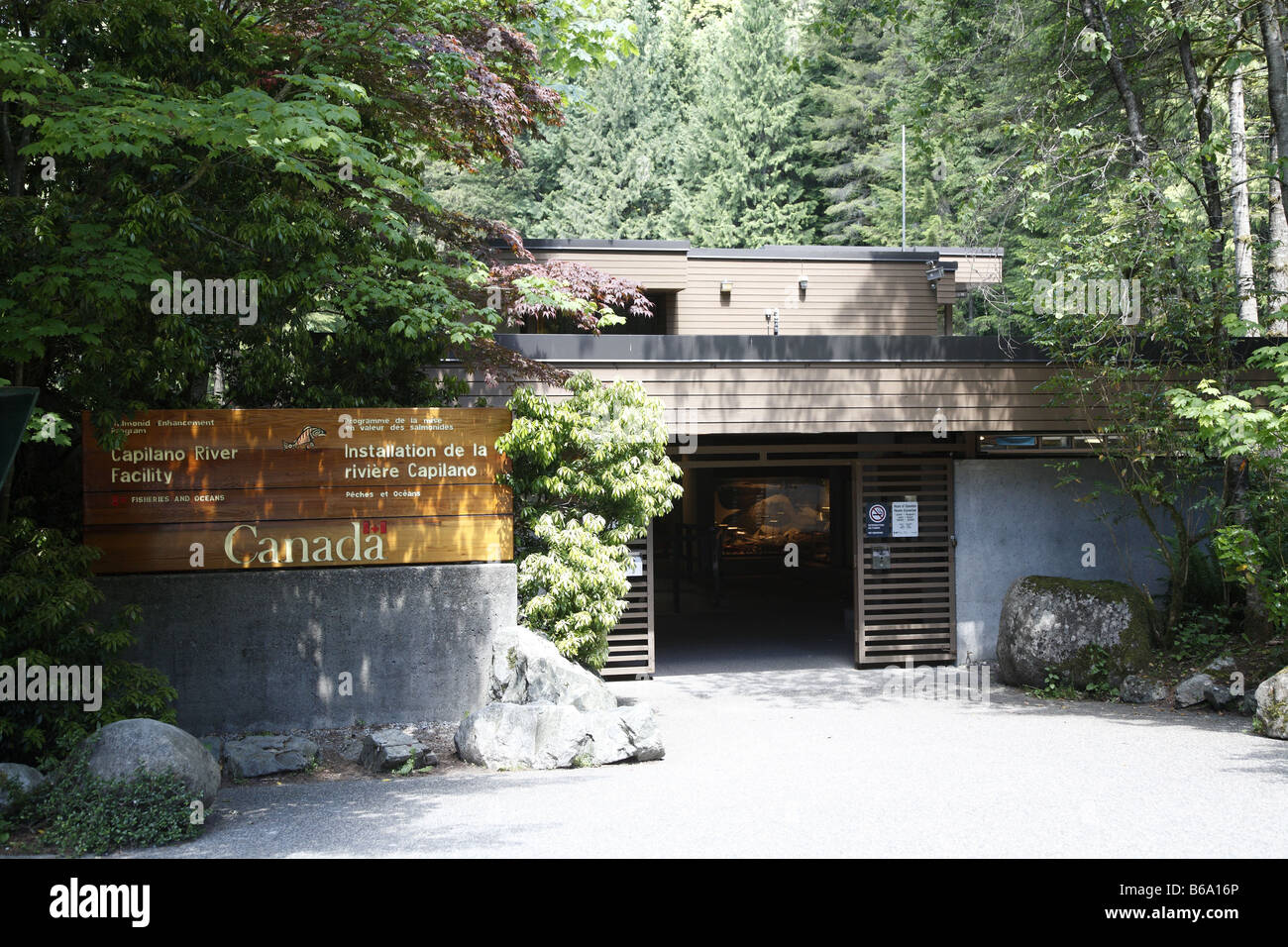 Canada BC Kanada Britisch British Columbia Vancouver Il Capilano Salmon Hatchery Capilano River Foto Stock