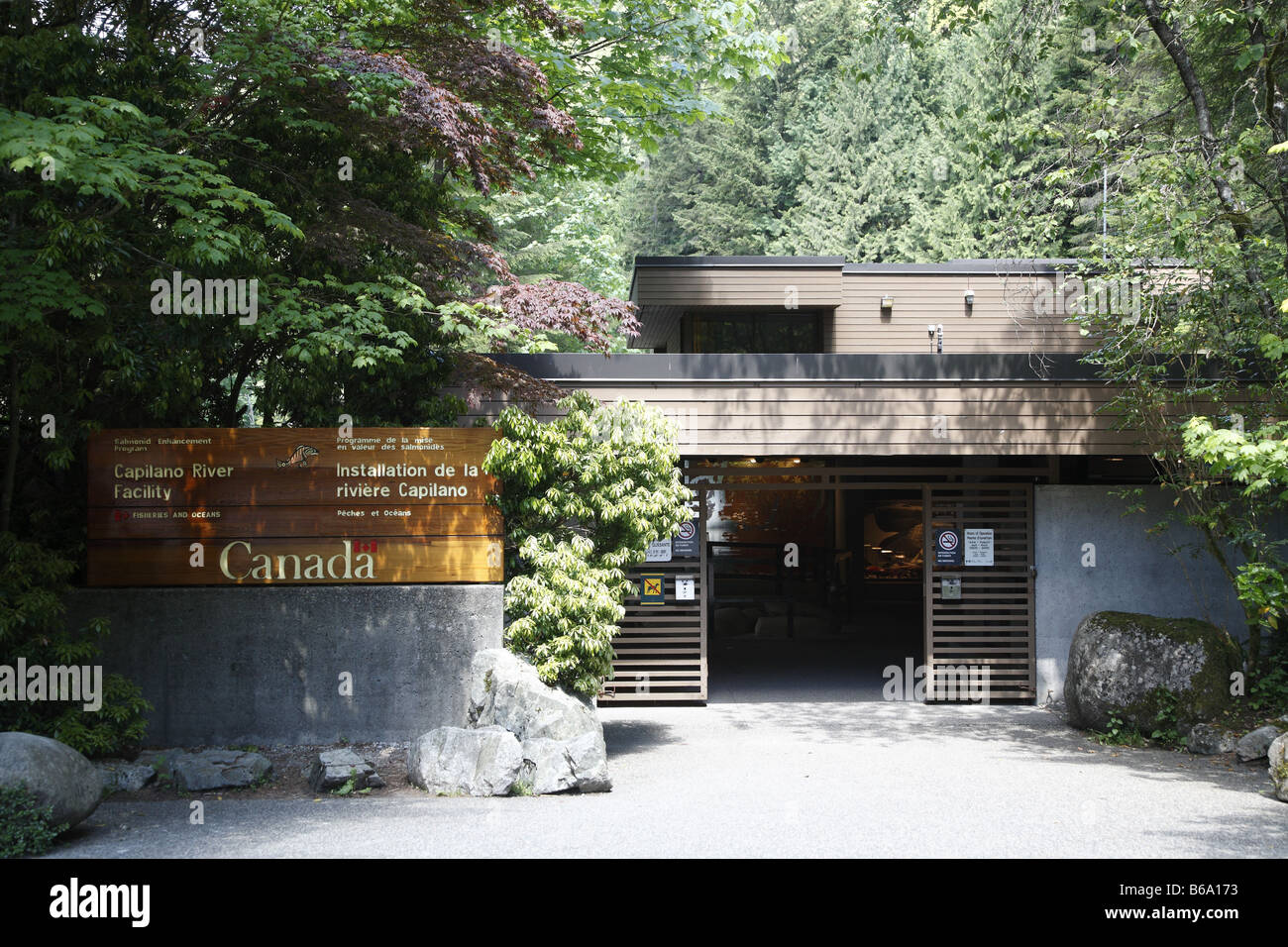 Canada BC Kanada Britisch British Columbia Vancouver Il Capilano Salmon Hatchery Capilano River Foto Stock