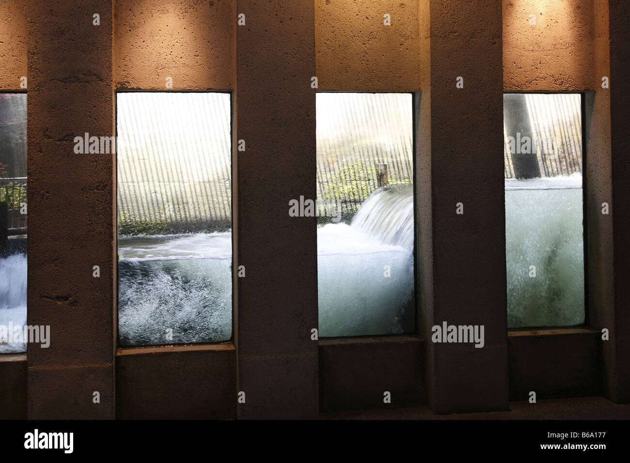 Canada BC Kanada Britisch British Columbia Vancouver Il Capilano Salmon Hatchery Capilano River Foto Stock