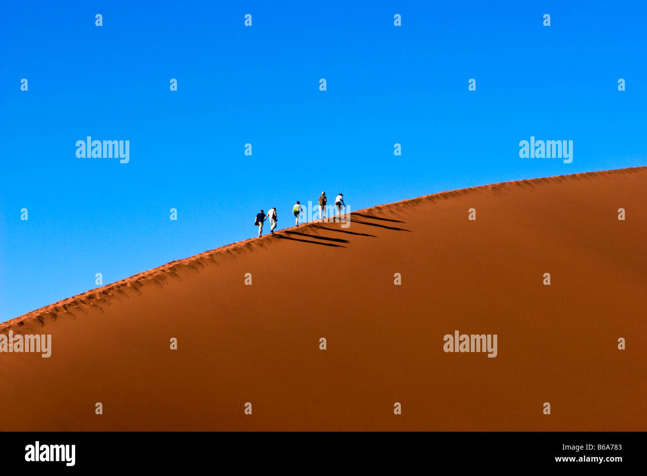 Dune di arrampicata 45 in Namib-Naukluft National Park, Namibia Foto Stock