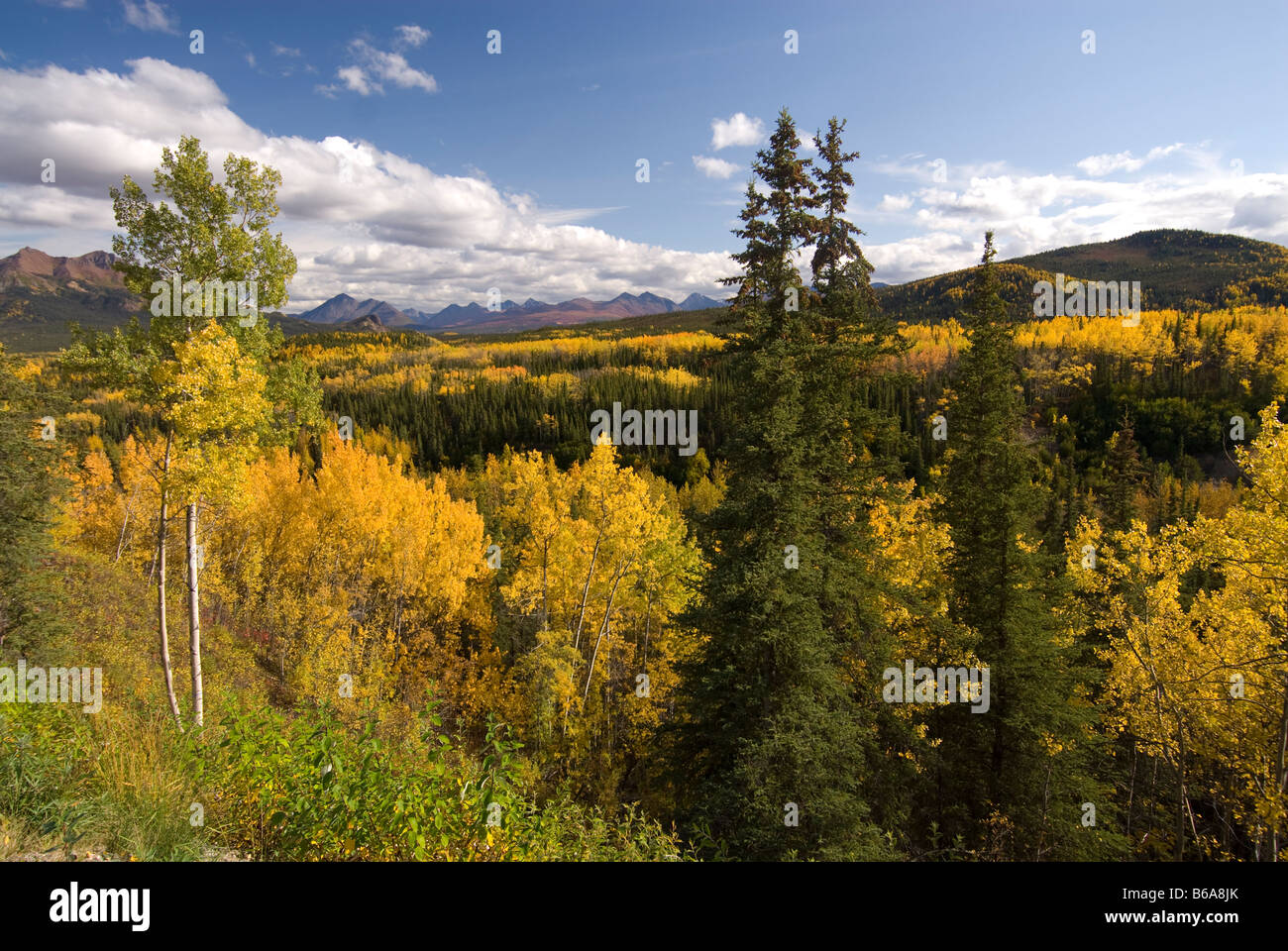 Vista di Riley Creek Valley, Parco Nazionale e Riserva di Denali, Alaska Foto Stock