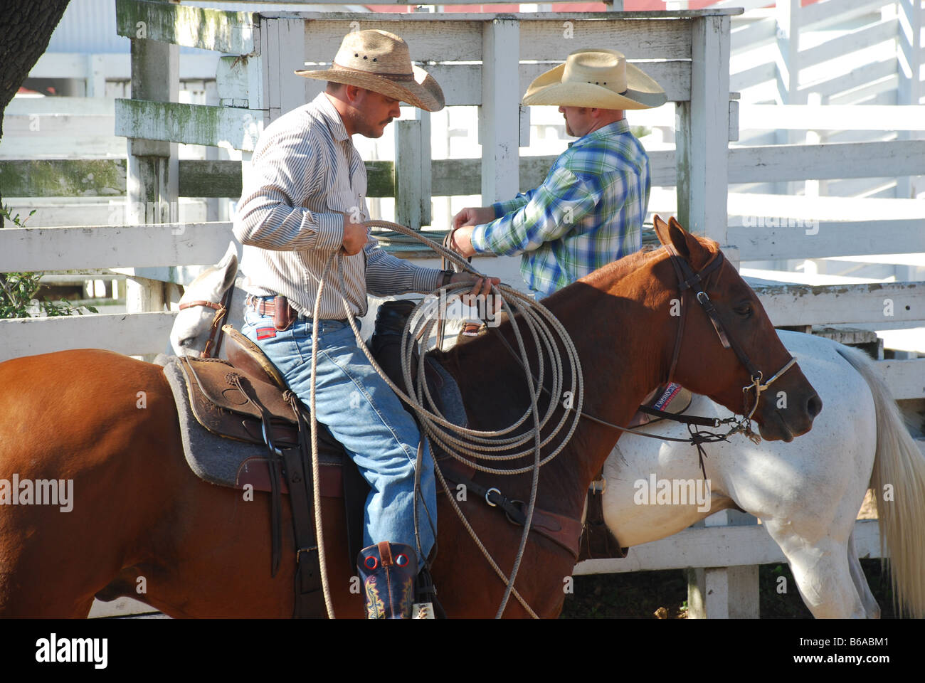 Cowboy di lavoro in Texas Foto Stock