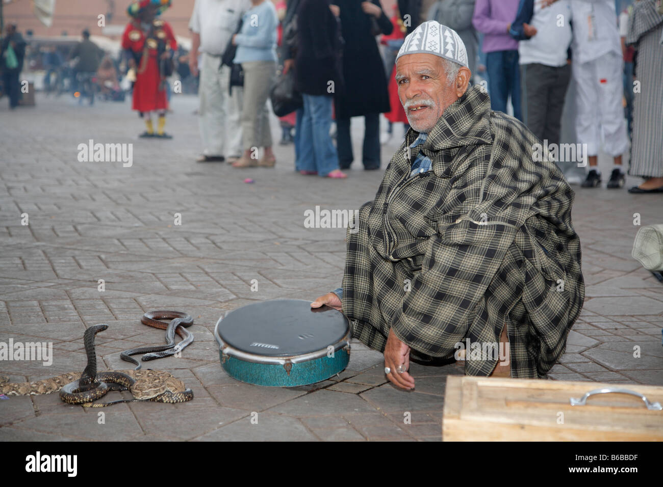 Incantatori di serpenti, Piazza Djemaa el Fna a Marrakech, Marocco, Africa Foto Stock