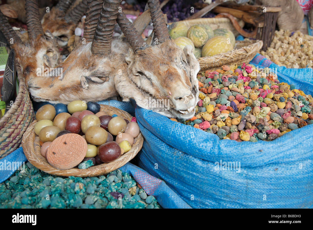 Rimedi a base di erbe, la medicina tradizionale, mercato, Marrakech, Marocco, Africa Foto Stock
