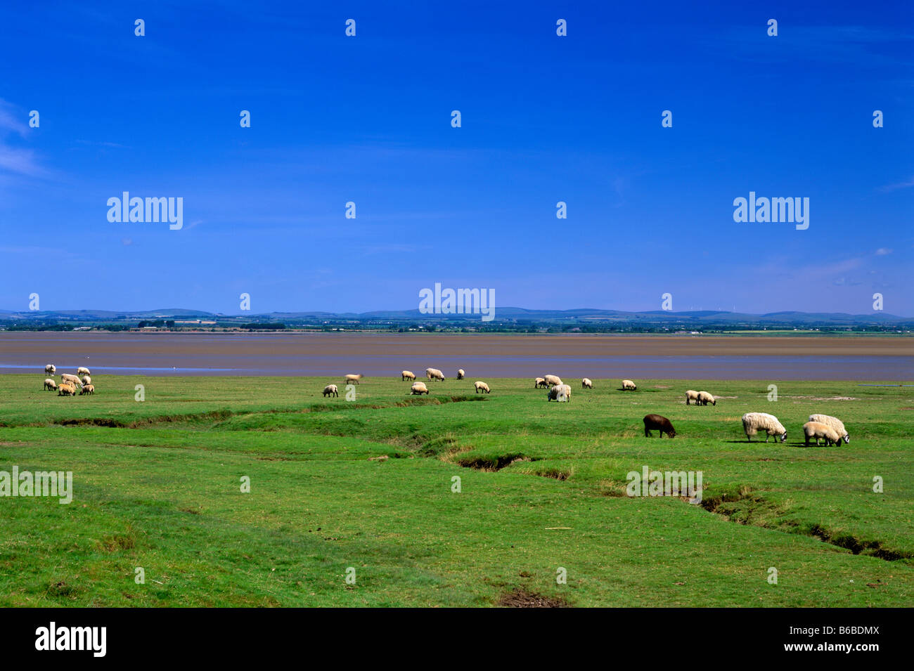 Vista panoramica del Solway Firth da Bowness-on-Solway, Cumbria Foto Stock