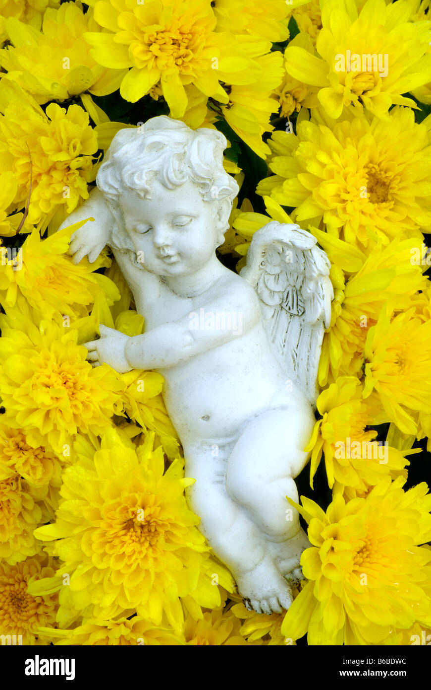 Angelo scultura statua dormire in giallo crisantemi Foto Stock