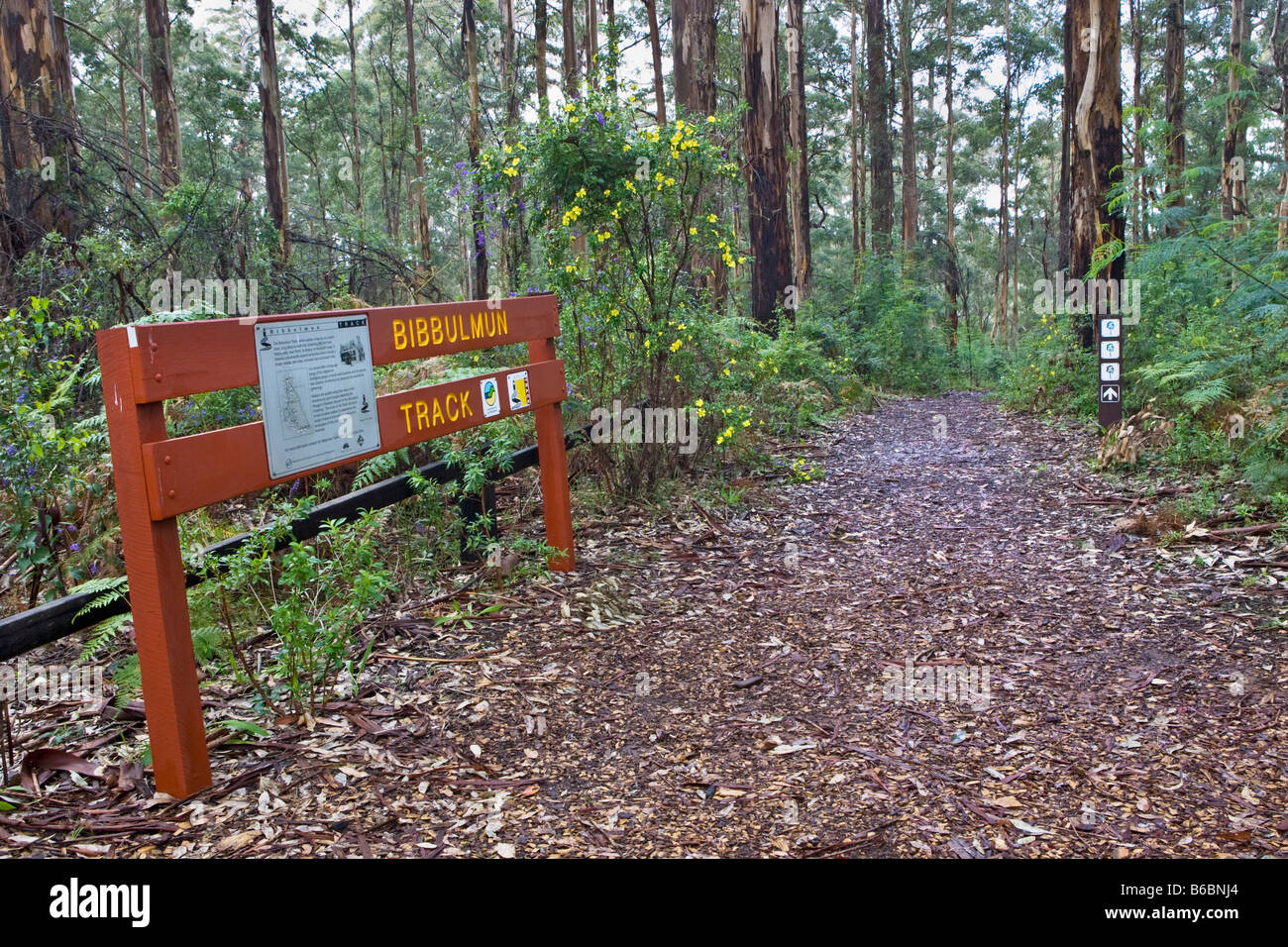 Un Bibbulmun via signpost attraverso la foresta karri in Gloucester National Park, Pemberton, Australia occidentale Foto Stock