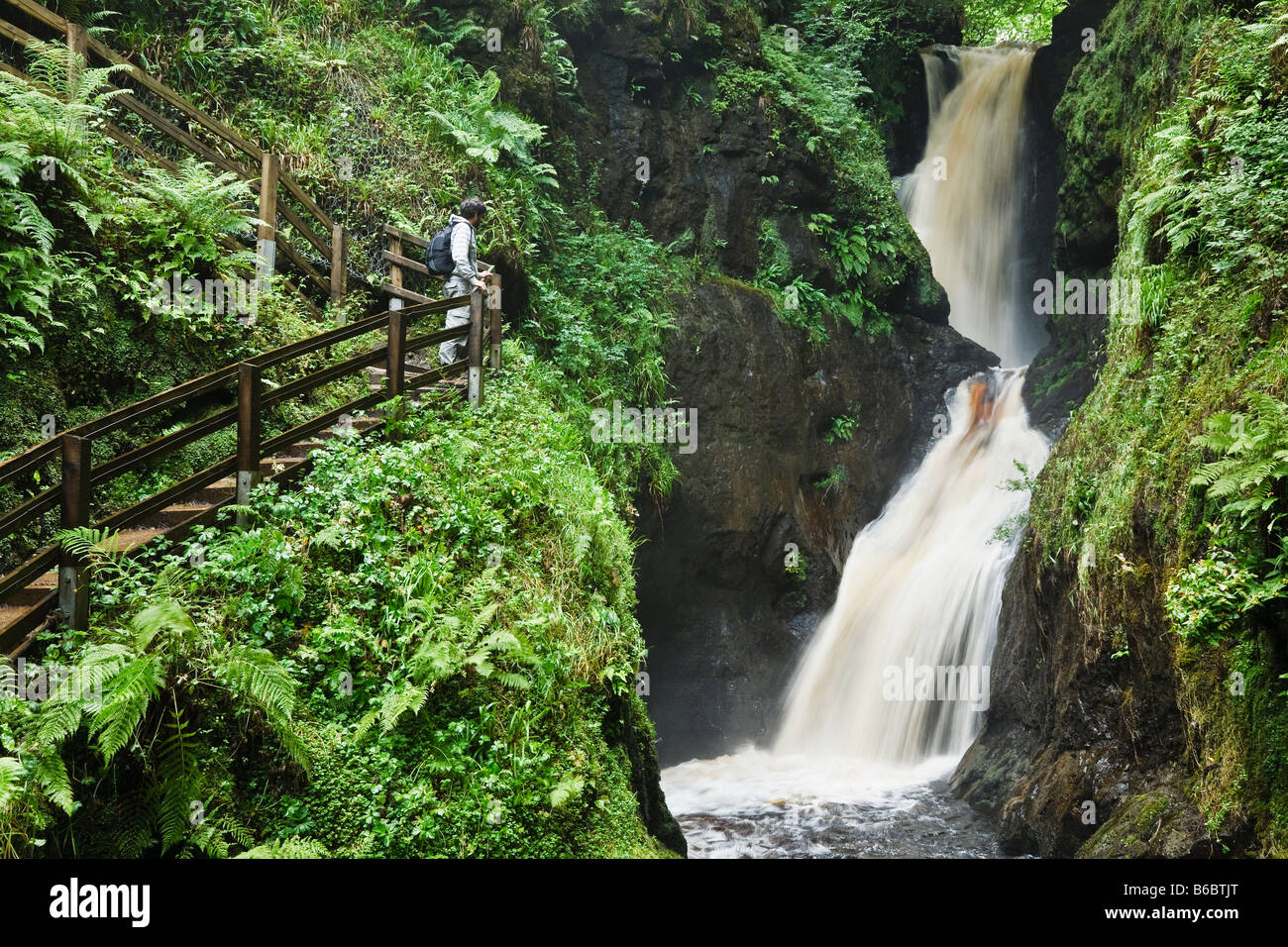 Ess-na-Larach cascata, Glenariff River, Glenariff Forest Park, Glens di Antrim, County Antrim, Irlanda del Nord Foto Stock