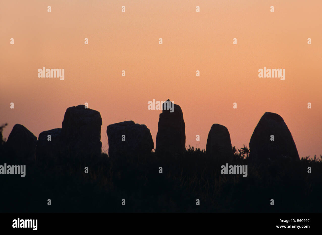 Di sera o di vista del tramonto di allineamento di Menec, megalitiche preistoriche, menhir o pietre permanente, c3000BC, Carnac, Brittany, Francia Foto Stock