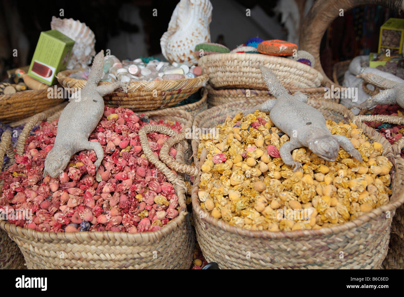 Rimedi a base di erbe, la medicina tradizionale, mercato, Marrakech, Marocco, Africa Foto Stock