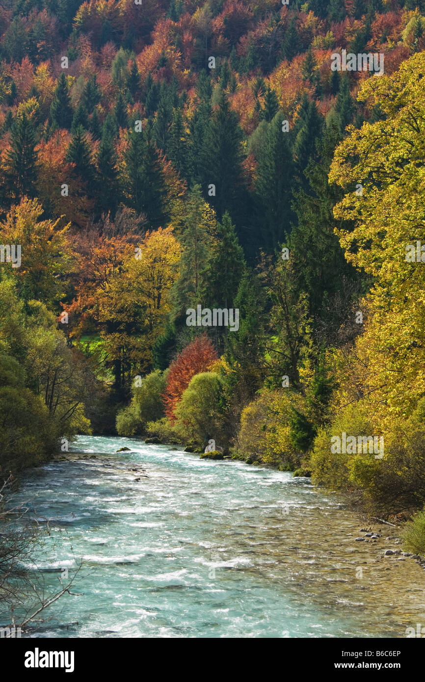 Colore di autunno Soca river, sulle Alpi Giulie Slovenia Foto Stock