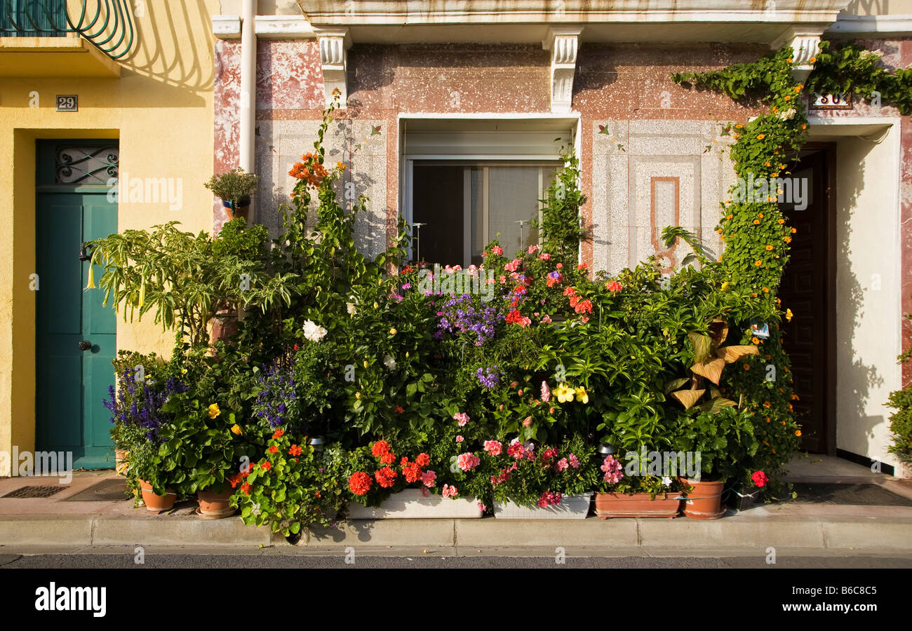 Contenitore di casa giardino, Port Vendres, Pyrennees-Orientales, Francia Foto Stock