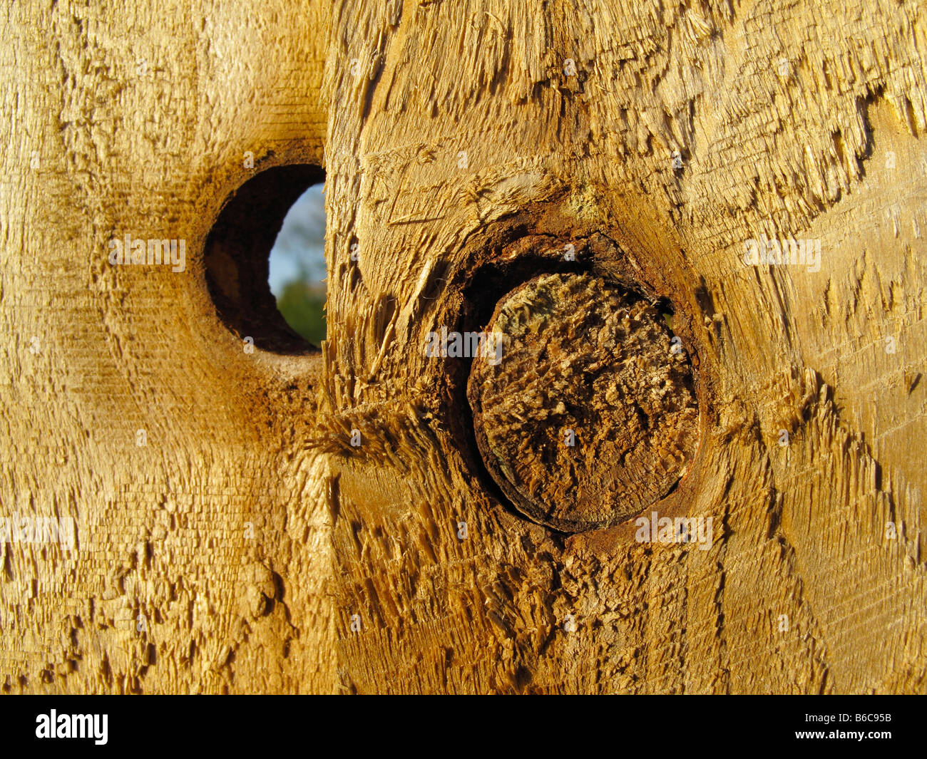 Uno spiraglio nella parete: nodi in una staccionata in legno, Radley Foto Stock