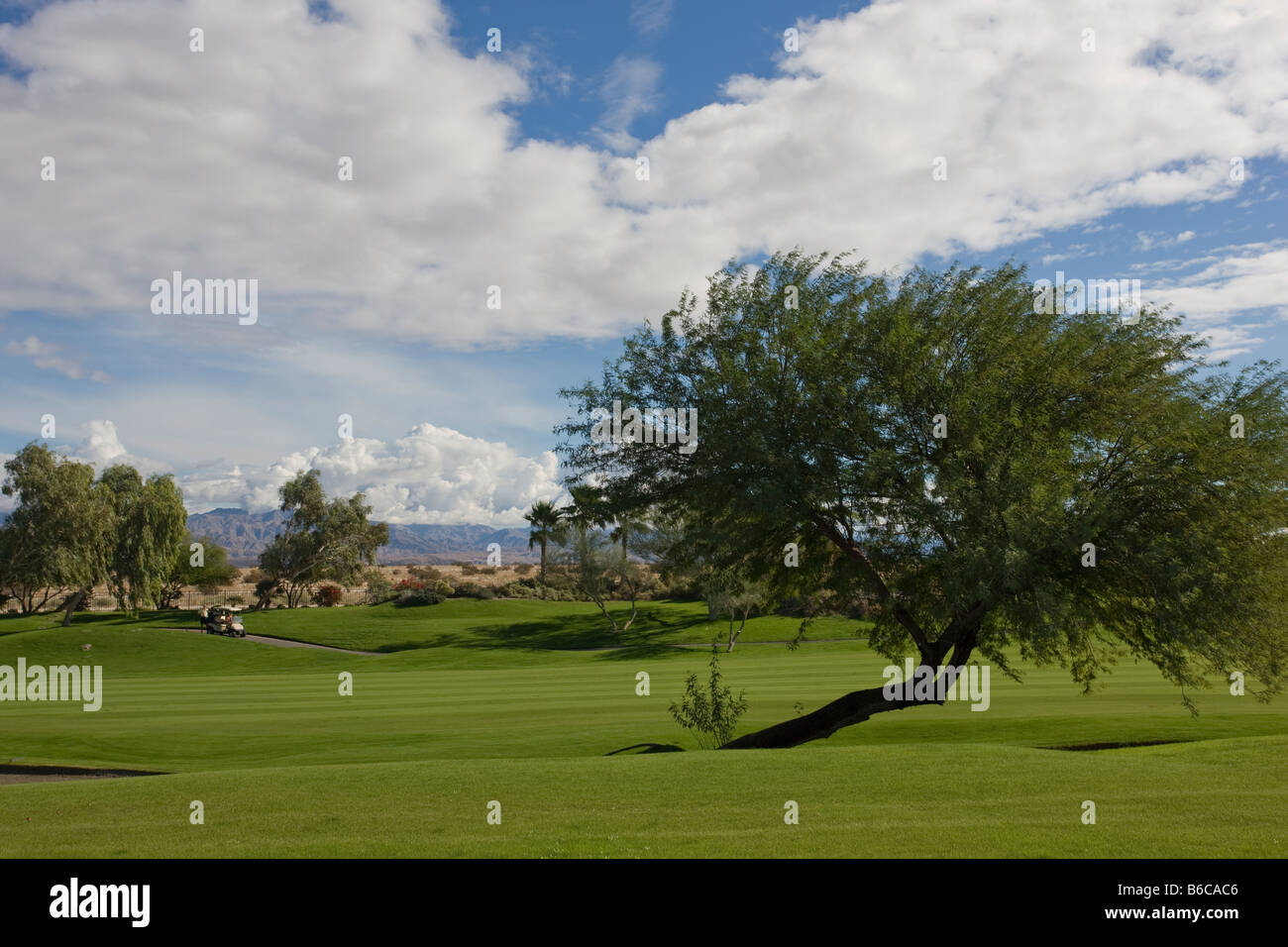 Struttura spazzate dal vento sul campo da Golf, Palm Springs Foto Stock