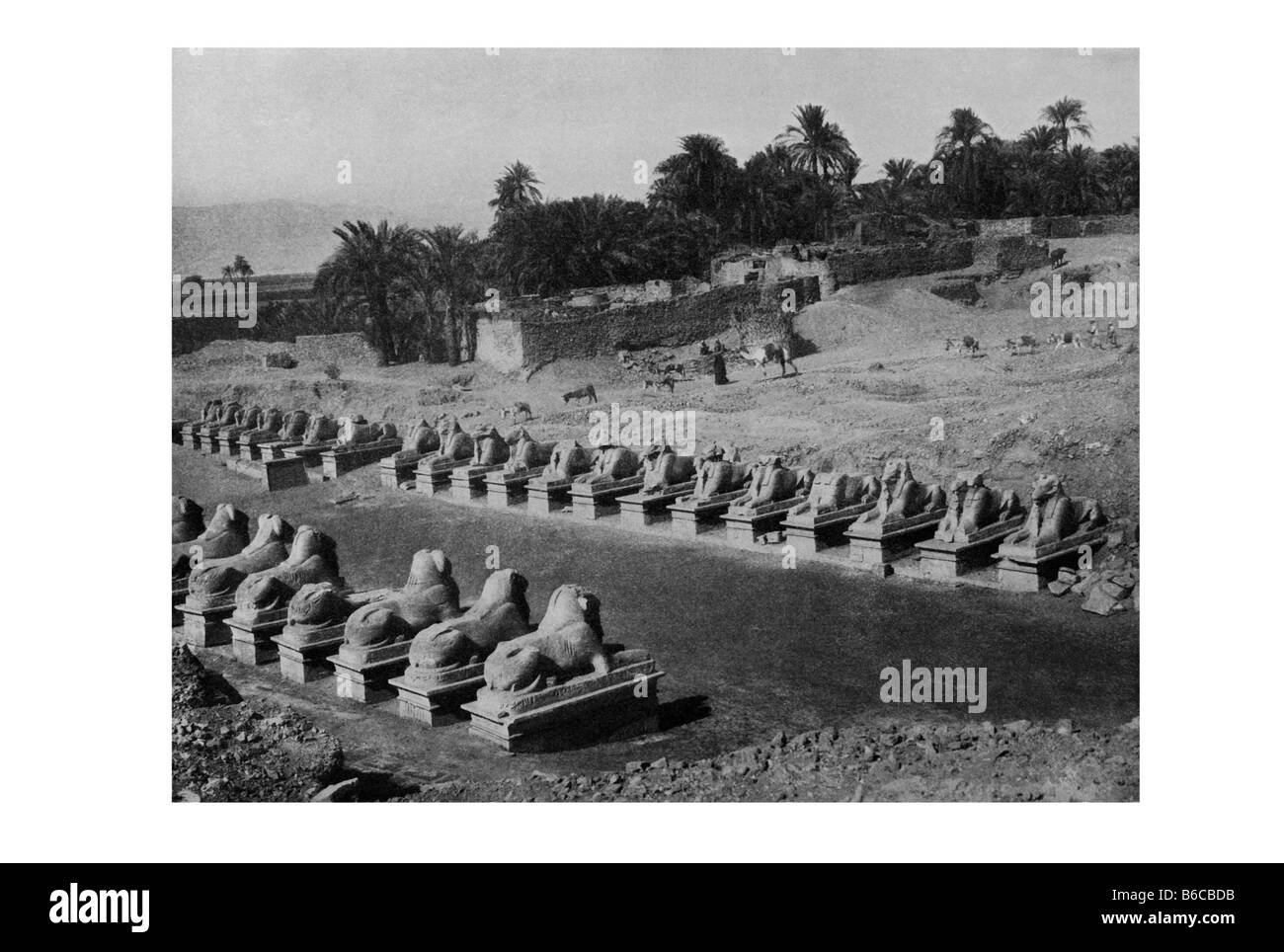 Posizionare il vicolo di Karnak di sphinx circa 1100 BC immagine 1914 Foto Stock