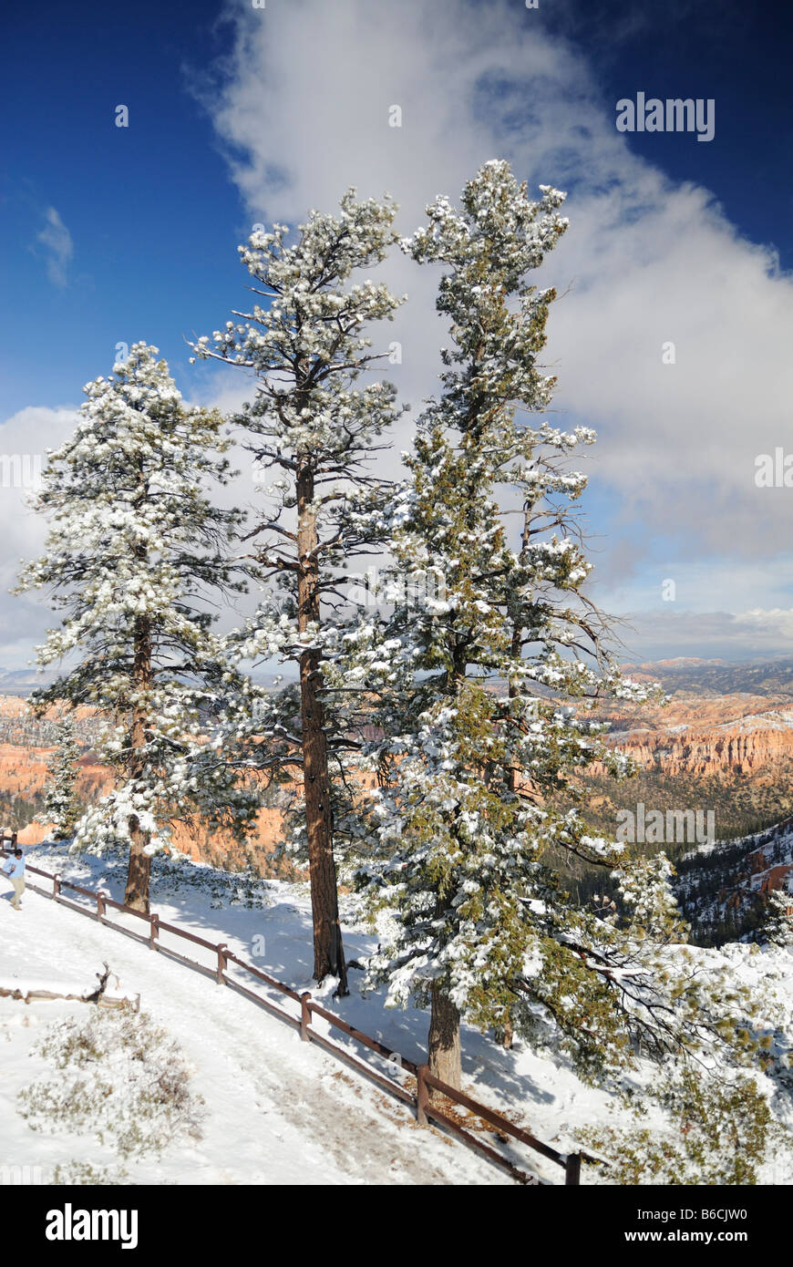 Sentiero escursionistico lungo il bordo del Bryce Canyon dello Utah Foto Stock
