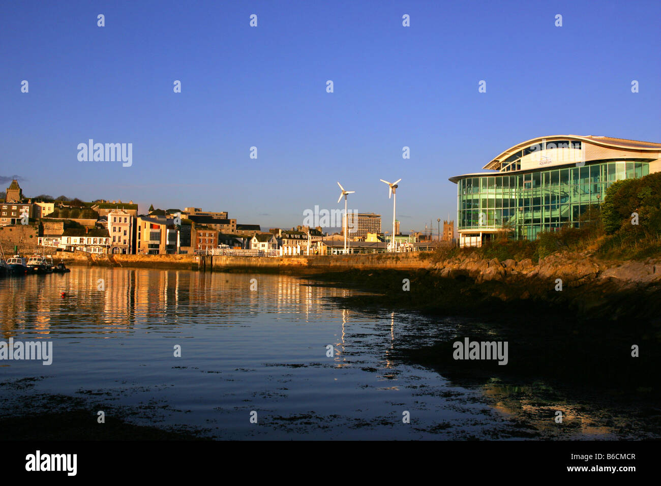 Il National Marine Aquarium del Barbican a Plymouth, Devon. Foto Stock