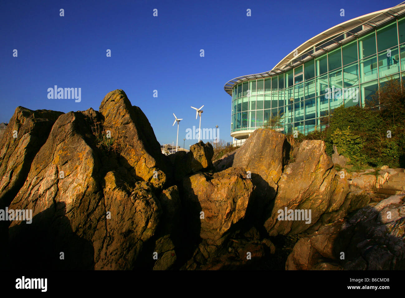 Il National Marine Aquarium del Barbican a Plymouth, Devon. Foto Stock