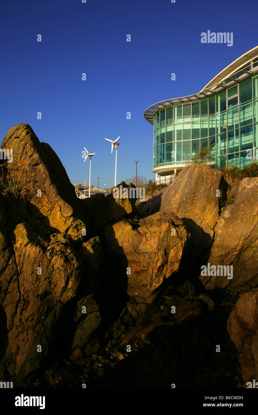 Il National Marine Aquarium del Barbican a Plymouth, Devon. Foto Stock