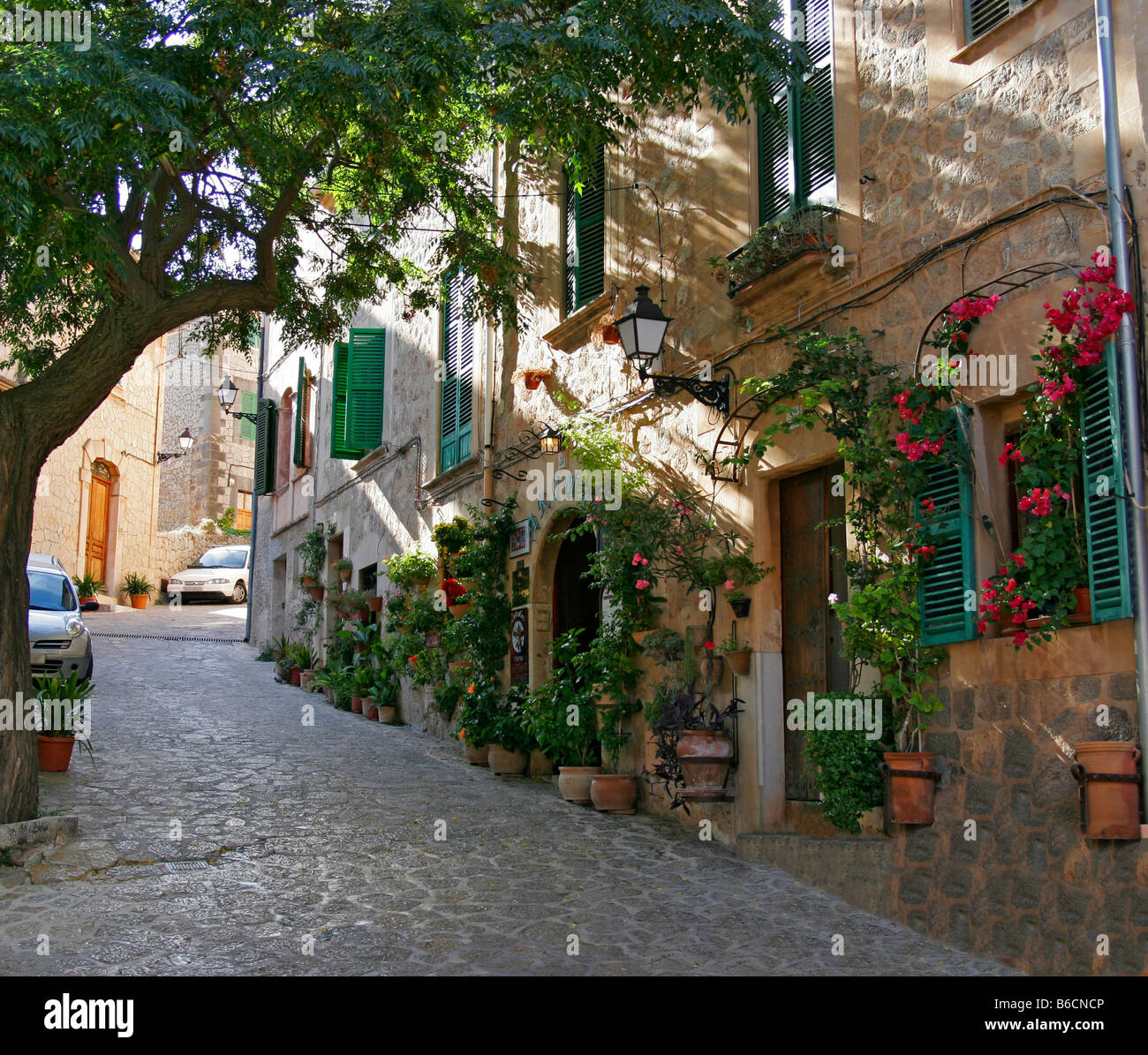 Valdemossa lane corsie sbocciare fiori romantico borgo po Foto Stock