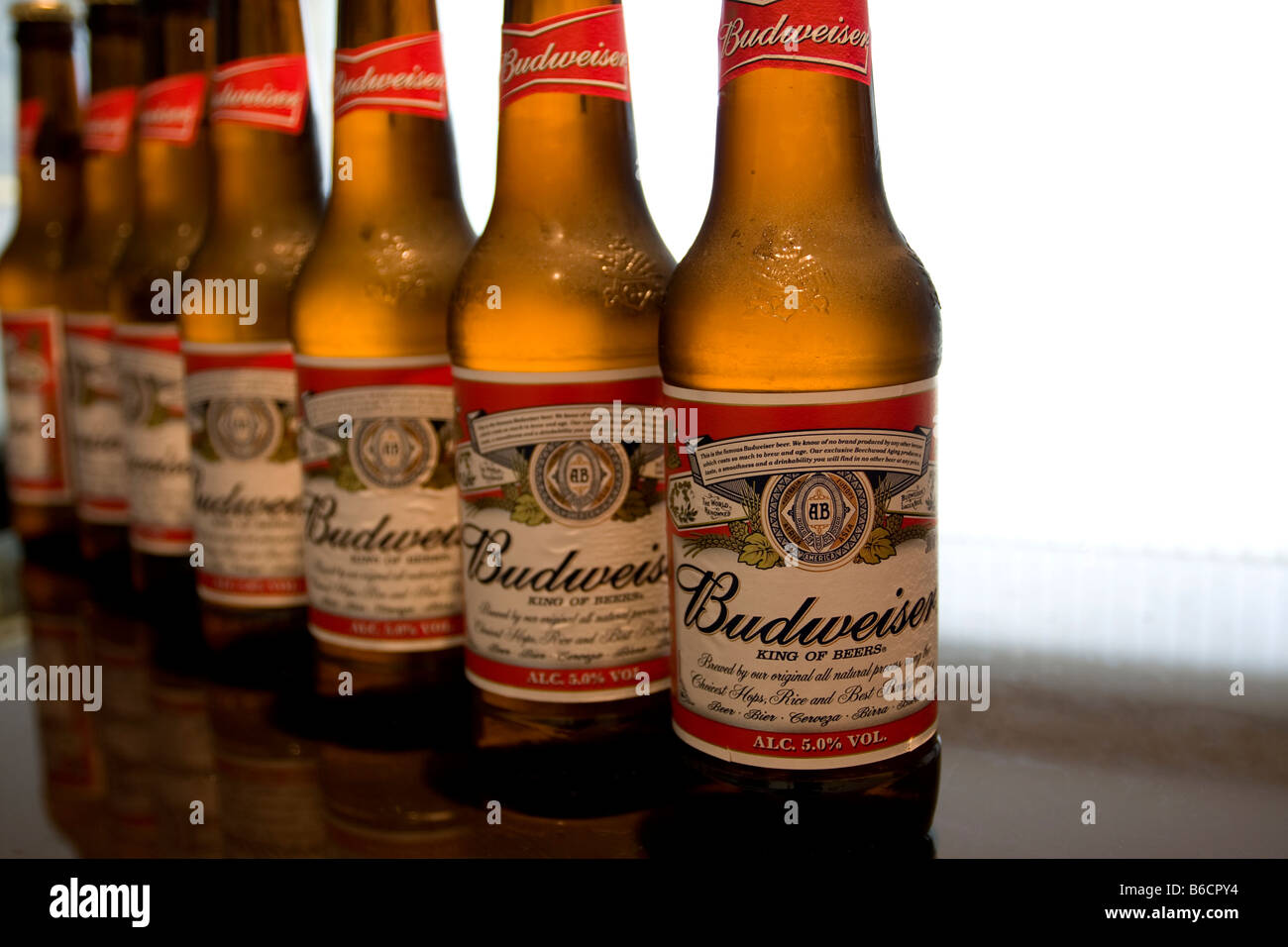 Birra fredda, budweiser Foto Stock