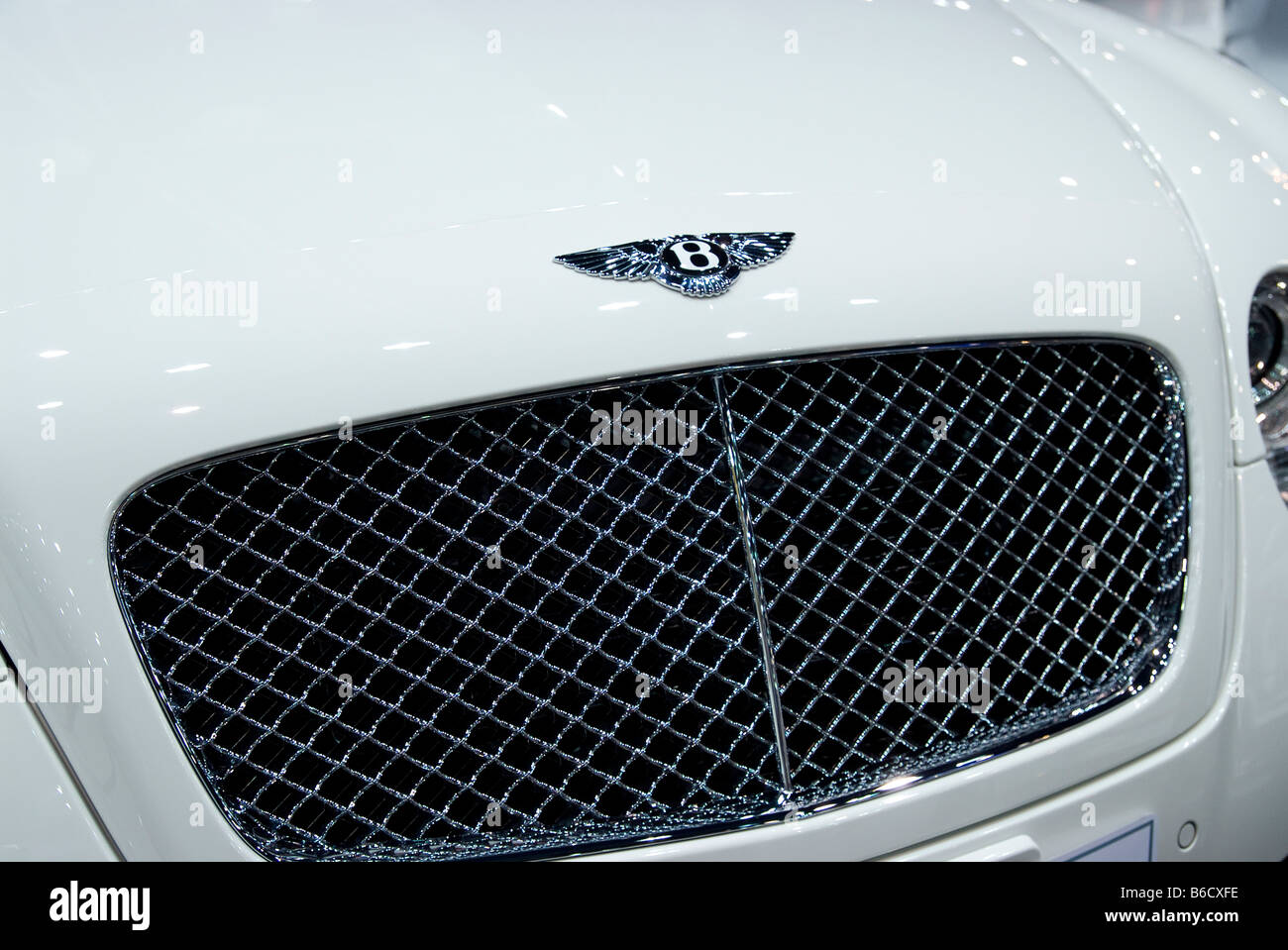 Bentley logo e grill su un bianco auto Bentley Foto Stock