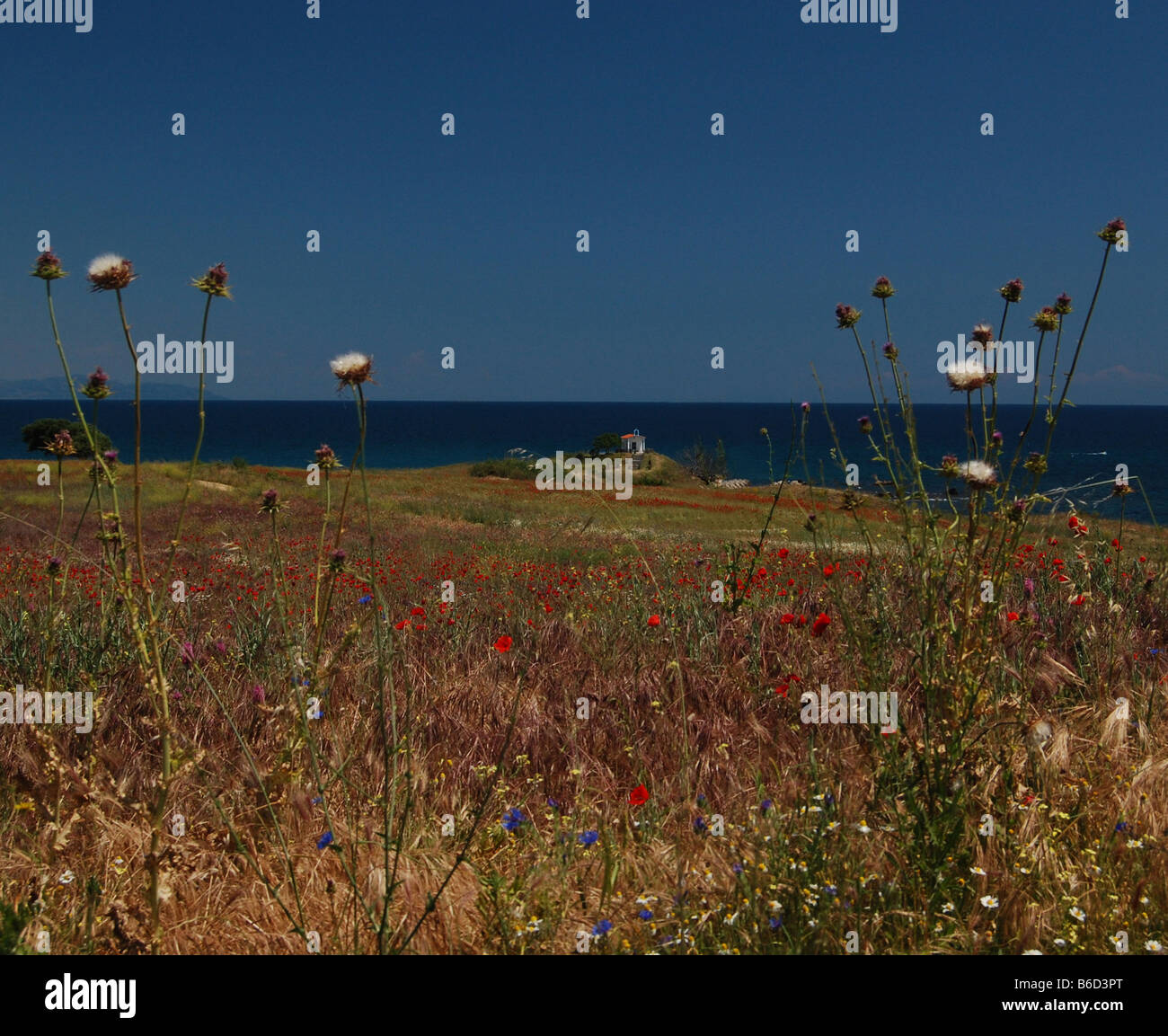 Piccola chiesa greca impostato tra fiori Foto Stock