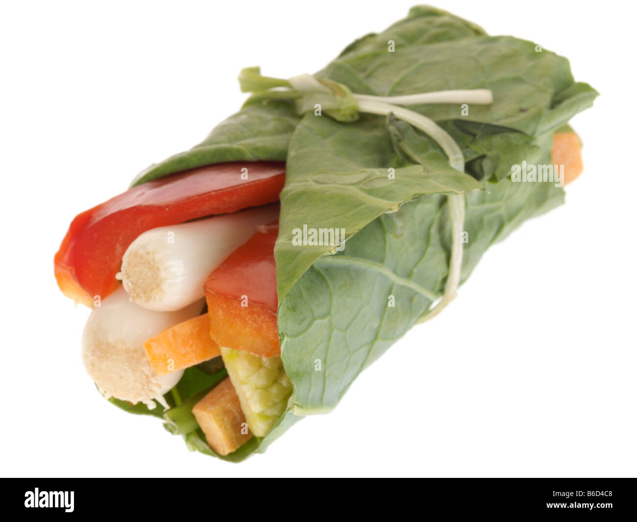 Materie prime vegetali Wrap Foto Stock
