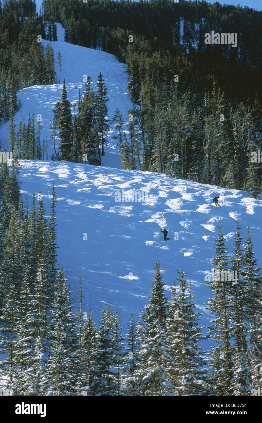 Lo sci sulle gobbe Hellroaring ski run in Red Lodge Montana USA Foto Stock