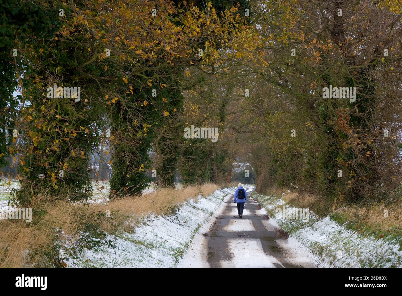 Countrylane Southrepps Norfolk Novembre Foto Stock