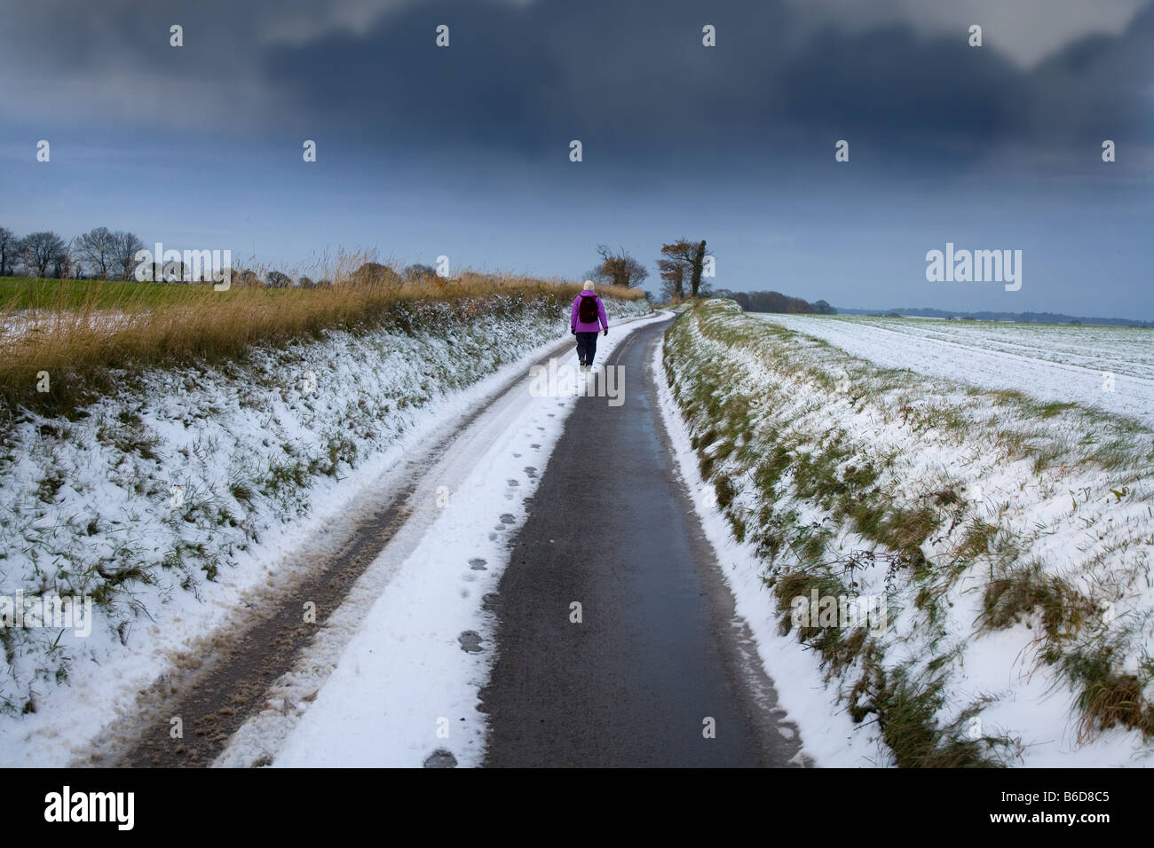 Countrylane Southrepps Norfolk Novembre Foto Stock