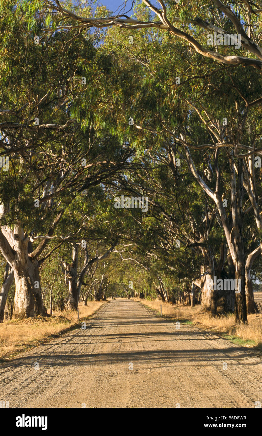 Strada di campagna, Australia Foto Stock